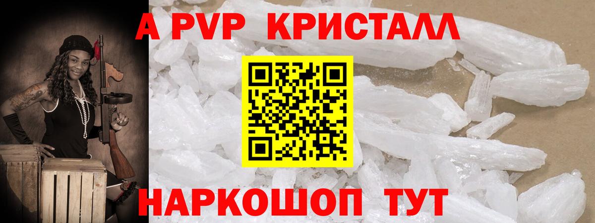 Alfa_PVP СК Кузнецк